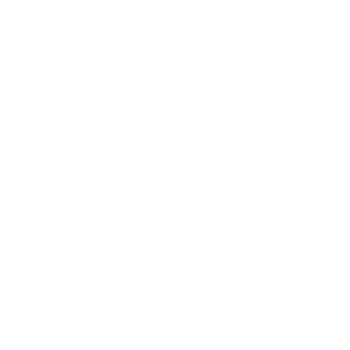 Lee County Bail Bonds logo